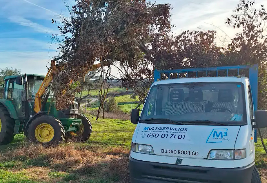 Desbroces M3 Multiservicios Ciudad Rodrigo